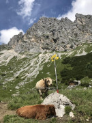 Vier Hütten Wanderung