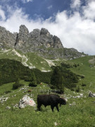 Vier Hütten Wanderung