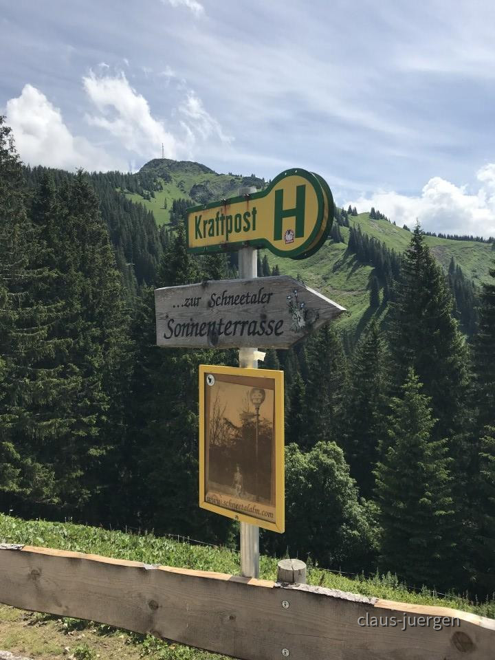 ?random=0&maxWidth=0&embedded=0&thumbnail=large