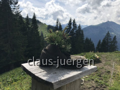 Vier Hütten Wanderung