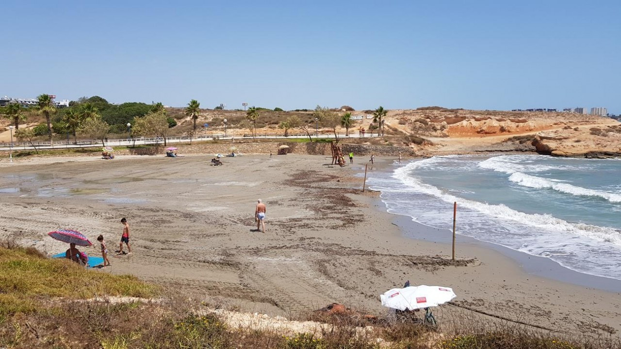 Playa Flamenca_6