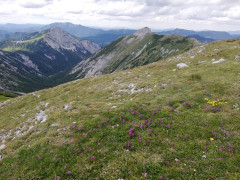 Schneealpe