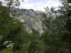 Schneealpe