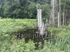 Hohe Bleick