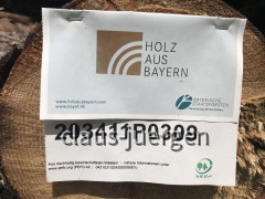 Hohe Bleick