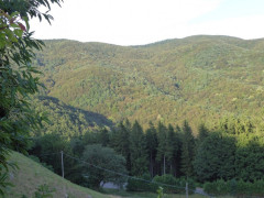 Mugello (2)