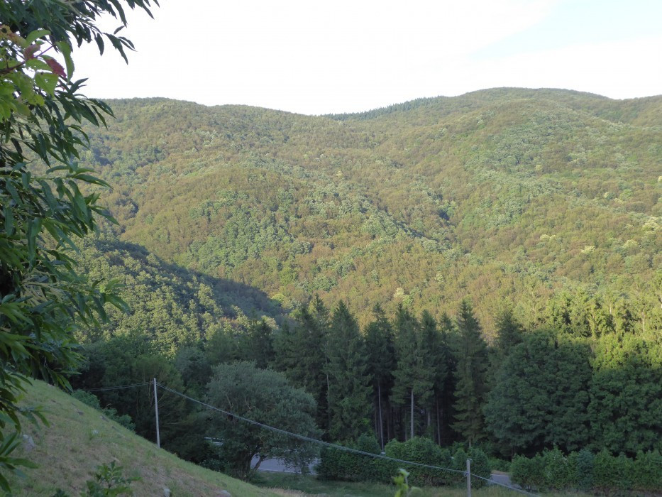 Mugello (2)