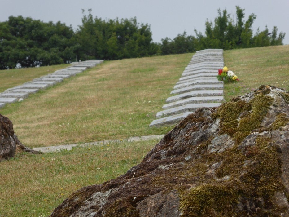 Mugello (1)