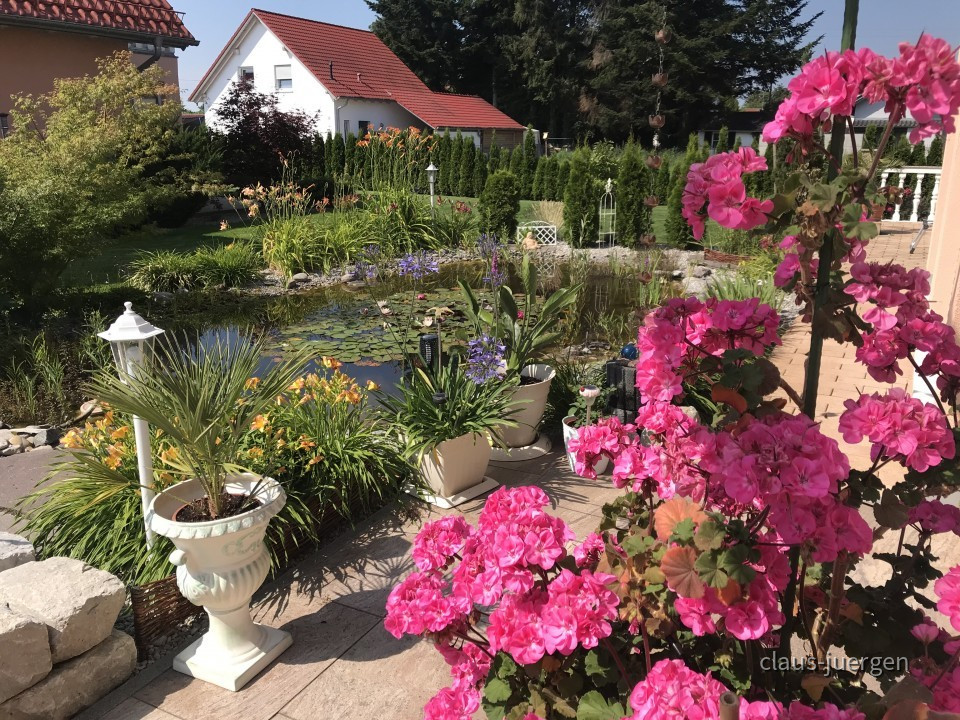 Blumen im Garten
