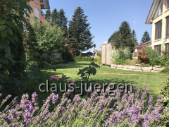 Blumen im Garten