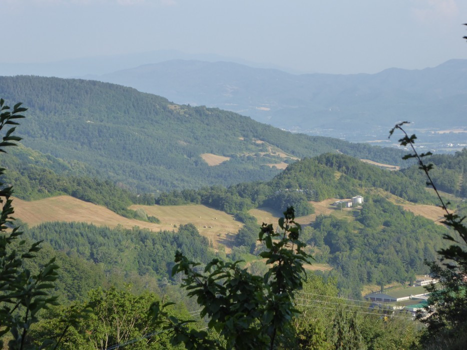 P1000936
