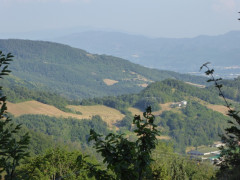 P1000936