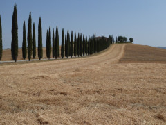 Toskana (1)