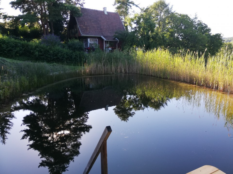 Schwimmteich Garten