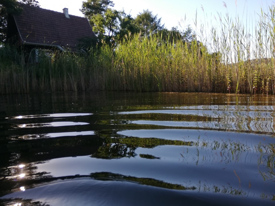 Schwimmteich Garten