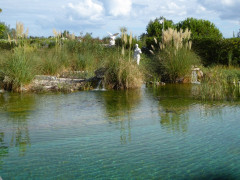 Schwimmteich