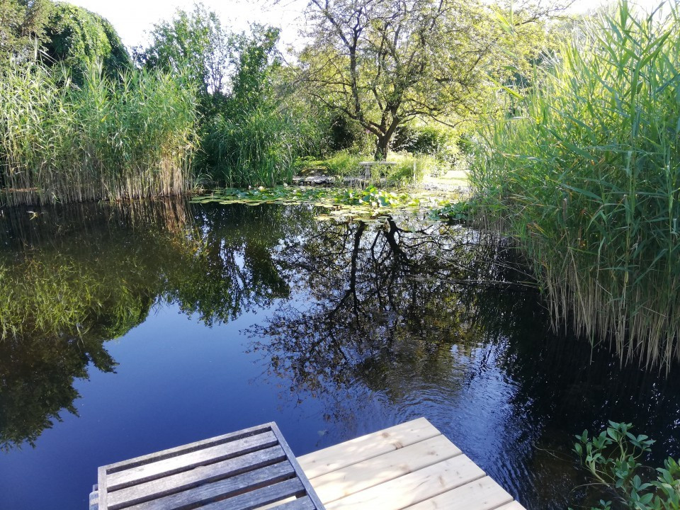 Schwimmteich