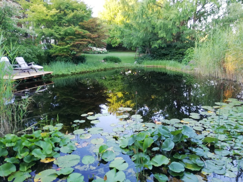 Schwimmteich