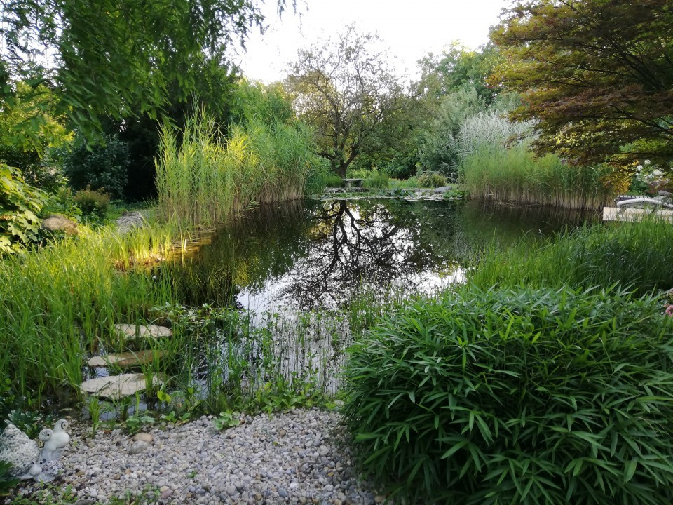 Schwimmteich