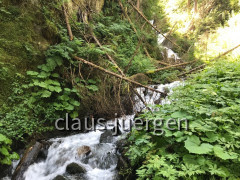 Wanderung Pitzenschlucht