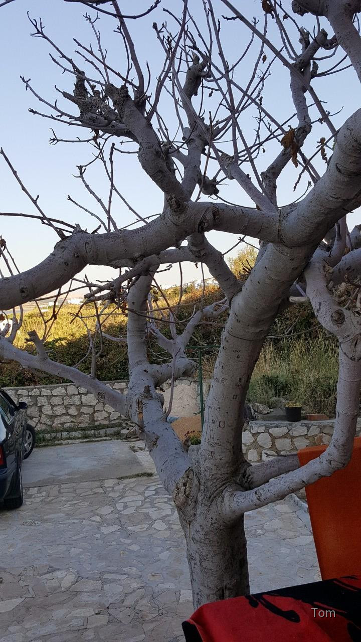 Insel Pag