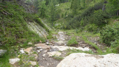 11 Weg zur Garnitzenalm  (3)