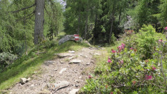 12 Weg zur Garnitzenalm  (4)
