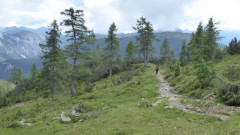 14 Weg zur Garnitzenalm  (5)