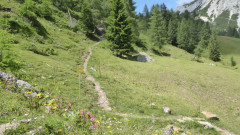 003 von Garnitzenalm zur Bergstation