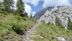 004 von Garnitzenalm zur Bergstation  (5)