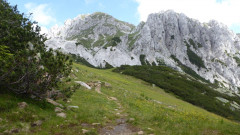 007 von Garnitzenalm zur Bergstation  (6)