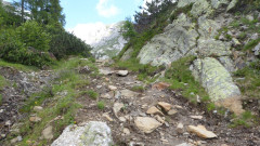 010 von Garnitzenalm zur Bergstation  (7)