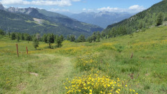 019 Z von Bergstation Watschiger Alm (20)