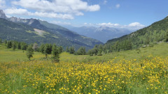 020 Z von Bergstation Watschiger Alm (21)