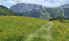 022 Z von Bergstation Watschiger Alm (22)