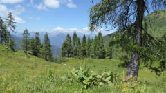 023 Z von Bergstation Watschiger Alm (24)