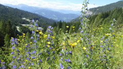 027 Z von Bergstation Watschiger Alm (13)