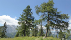 028 Z von Bergstation Watschiger Alm (25)