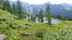 Weg zu Watschigeralm (4)