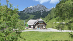 Z Weg zu Watschigeralm ( (6)