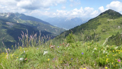 Alpenhauptkamm