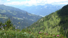 Gailtal b