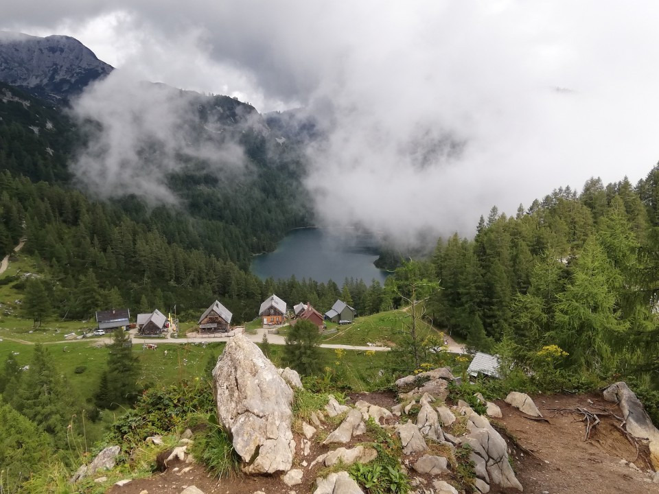 Tauplitzalm Zirbenschnaps