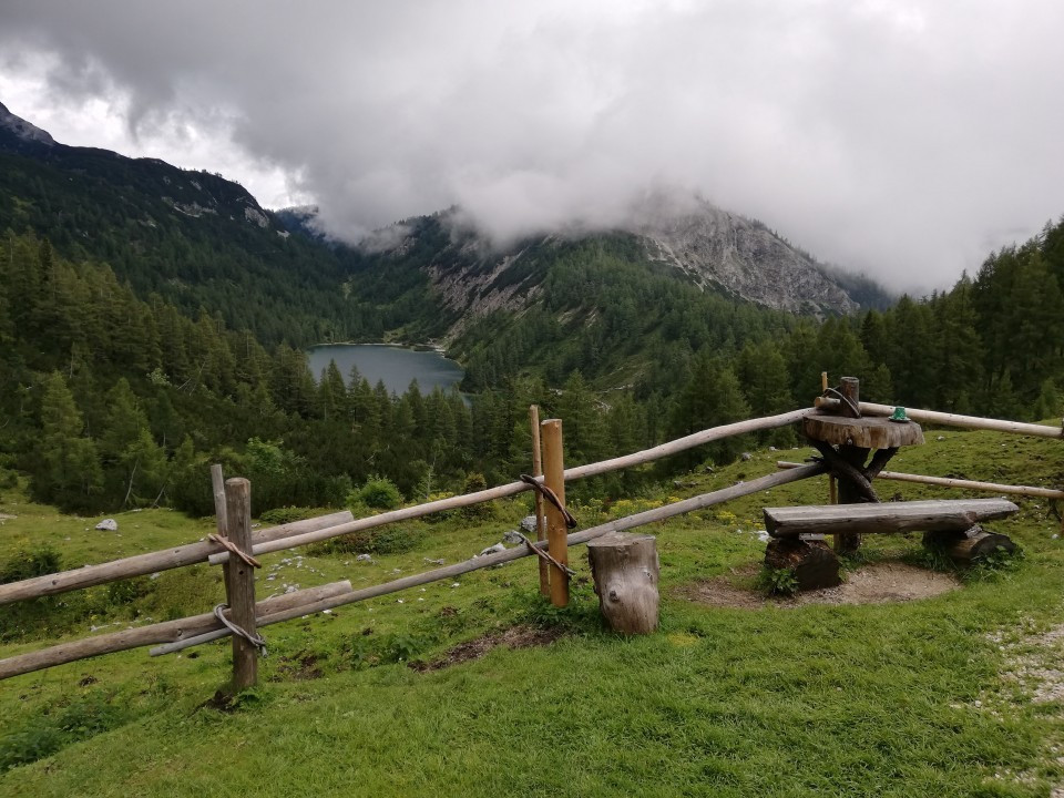 Tauplitzalm Zirbenschnaps