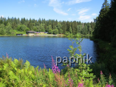 Freibad Kuttelbacher Teich