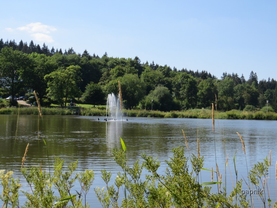 Kranichteich Hahnenklee