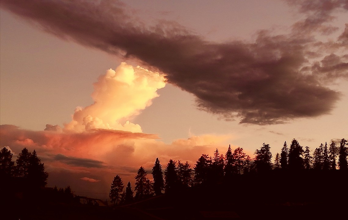 Tauplitzalm Abendstimmung