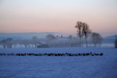 Nebel