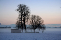 Nebel
