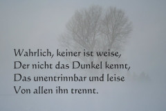 Nebel